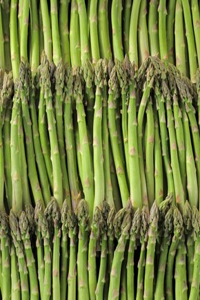 L'Asperge verte BIO