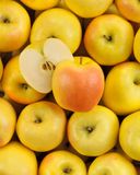 la-pomme-goldenrush-delisdor-bio
