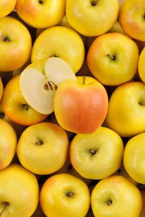 La Pomme goldrush delisdor BIO