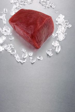 La Longue de thon albacore