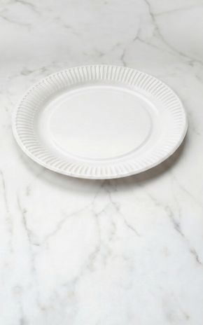 Les Assiettes blanches en carton compostable