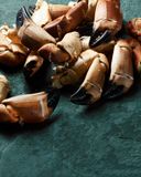 les-pinces-de-tourteaux-cuites-12-24