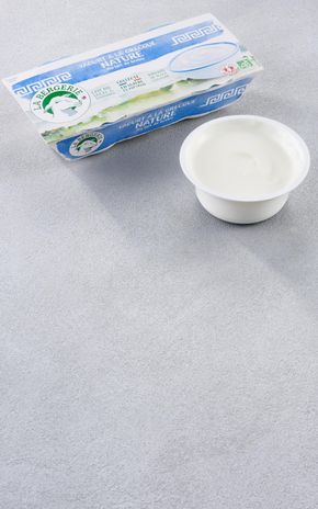 Le Yaourt à la Grecque nature au lait brebis BIO