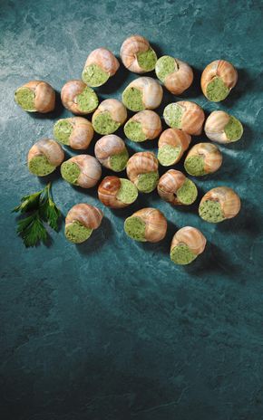 L'Assiette de 24 escargots  de Bourgogne