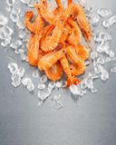 les-crevettes-cuites-40-60-label-rouge