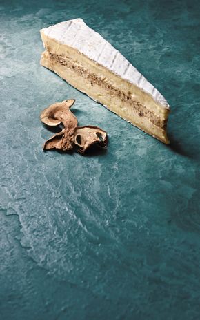 La Pointe de Brie aux cèpes