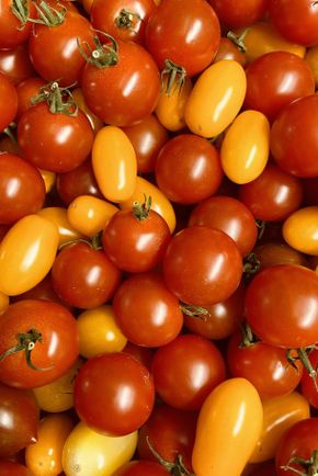 Les Tomates cerises panachés BIO