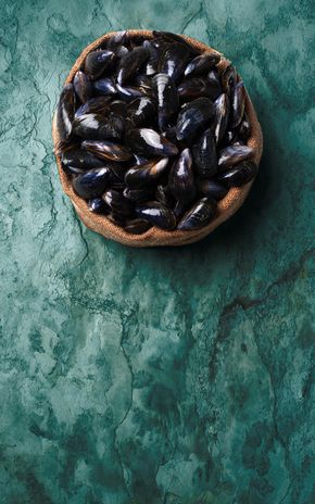 Les Moules de Hollande