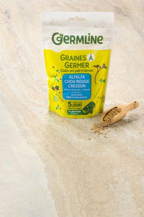 Les Graines à germer (alfalfa, cresson, chou rouge) BIO