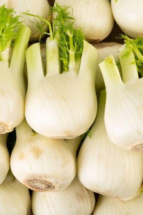 Le Fenouil BIO