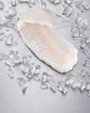 le-filet-de-julienne-1