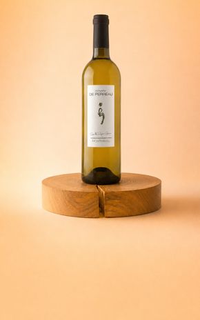 Le Vin blanc "Initiale G Blanc 2024" Domaine de Perreau BIO