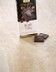 810776 CHOCOLAT NOIR 70_ COSTA RICA 100G.jpg