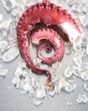 les-tentacules-de-poulpe-cuit