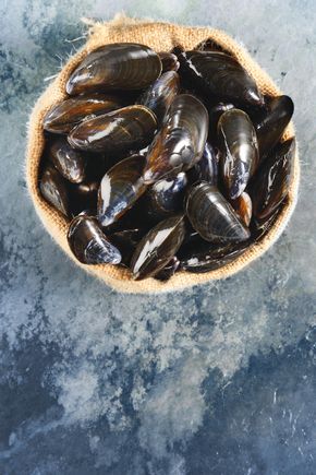 Les Moules de bouchot Label Rouge