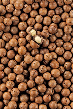 La Noix de macadamia