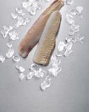 le-filet-de-lieu-noir-sans-arret