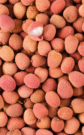 Le Litchi