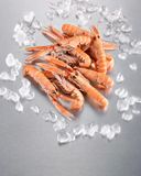 les-langoustines-cuites-20-30