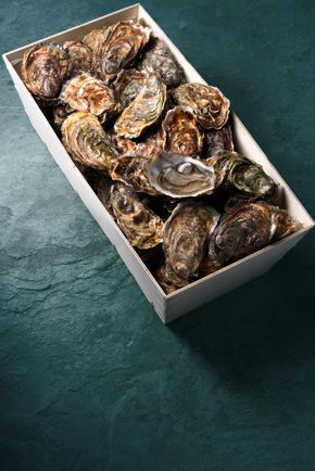 Les 48 Huîtres fines de claire IGP Marennes Oléron N°3