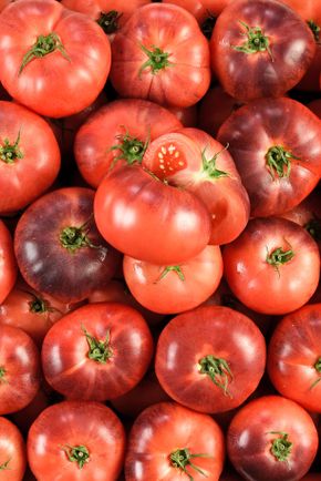 La Tomate cotelée bleue BIO