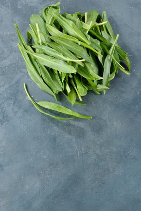 L'Epinard de mer