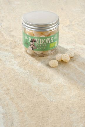 Les Bonbons à la menthe BIO