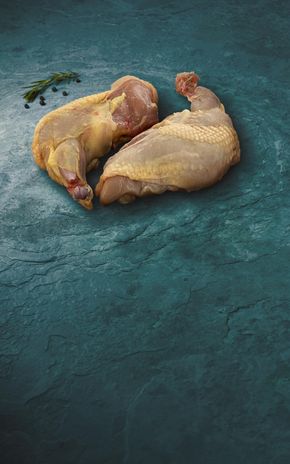 Le Suprême de chapon fermier BIO "Le Picoreur"