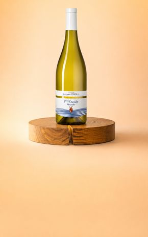 Le Vin blanc "1ère Escale 2024" Domaine Ménard Gaborit BIO