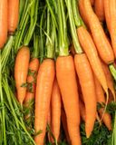 la-carotte-fane