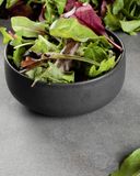 le-melange-de-jeunes-pousses