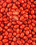 la-tomate-cerise-rouge-allongee-2