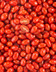 10343 TOMATE CERISE ALLONGEE KILO.jpg