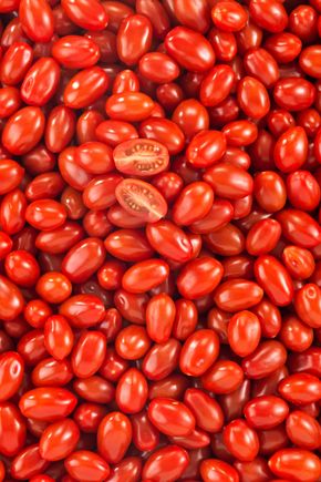 La Tomate cerise rouge allongée BIO