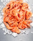 la-crevette-cuite60-80-asc