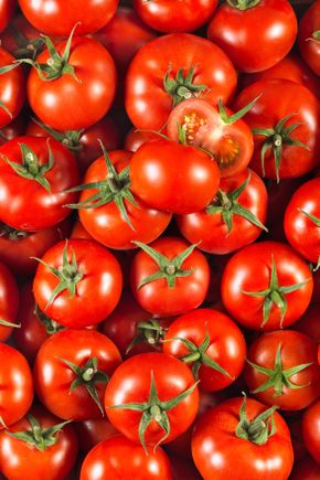 La Tomate divinina en colis de 1.5kg