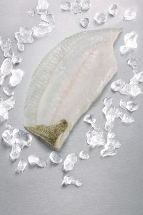 Le Filet de Turbot d'élevage