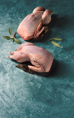 Les Cailles fermières