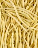le-haricot-beurre-bio