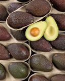 les-2-avocats-murs-a-point-1