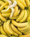 la-main-de-bananes-des-antilles-1