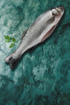 Le Bar vidé élevé en France