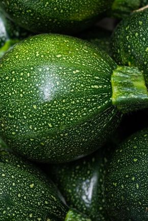 La Courgette ronde BIO