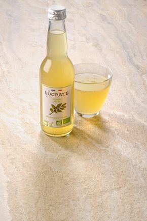 L'Infusion pétillante de maté citron agrumes BIO