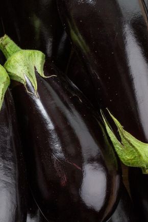 L'Aubergine noire BIO