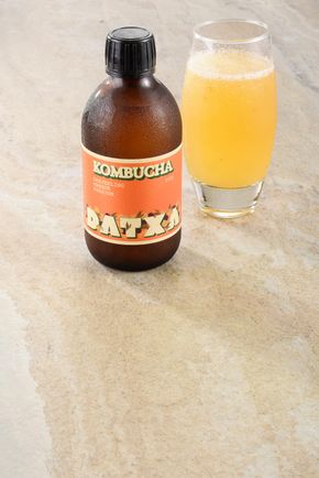 Le Kombucha darjeeling passion mangue BIO