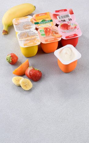 Les Fromages blancs aux fruits BIO