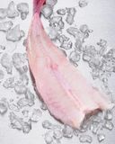 la-queue-de-lotte-pelee-2