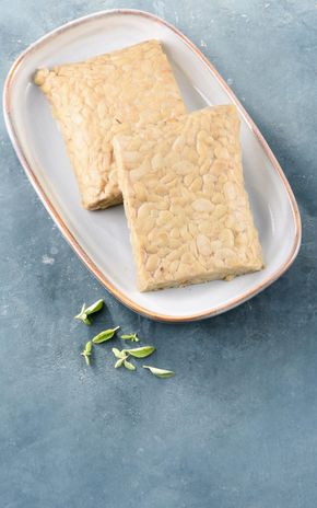 Le Tempeh  BIO