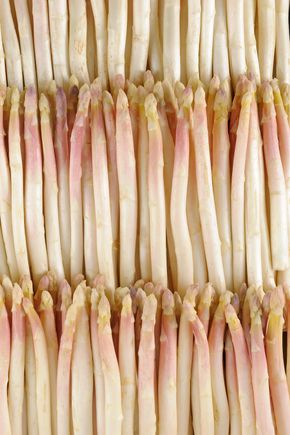 L'Asperge blanche violette BIO